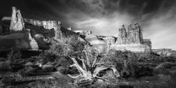 The Three Gossips