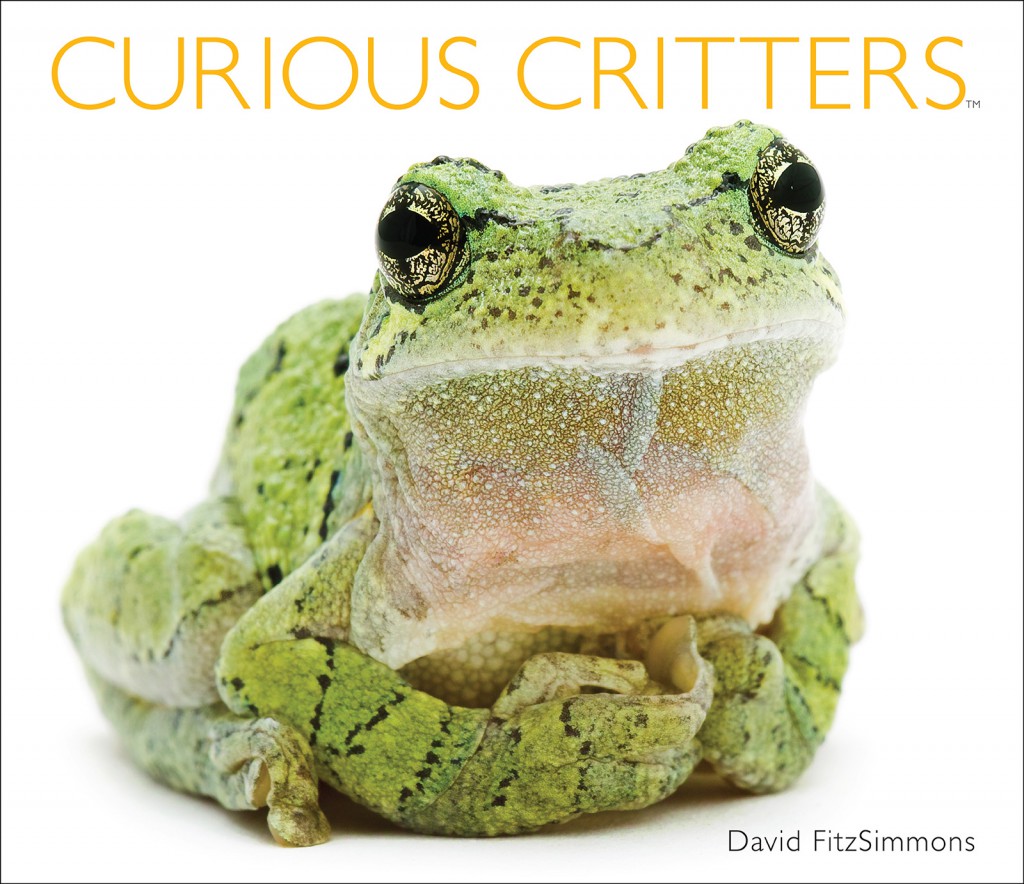 CURIOUS_CRITTERS_Cover_Med-Res