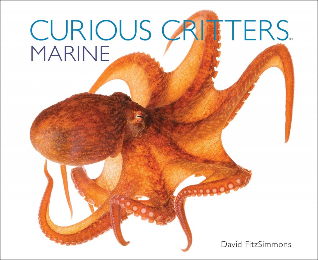 David_FitzSimmons_CURIOUS_CRITTERS_Marine_Cover