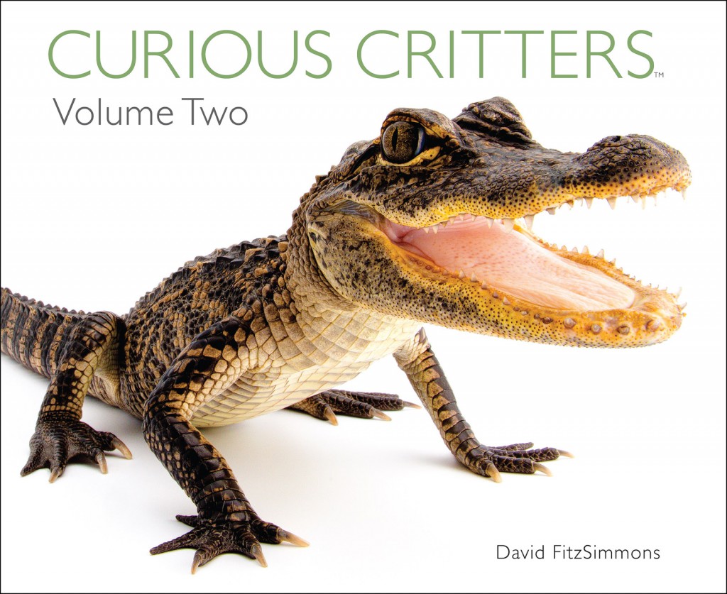 David_FitzSimmons_Curious_Critters_Vol_Two_Cover