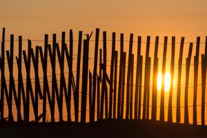 plum-island-don-toothaker-20150607-_dt62350-168