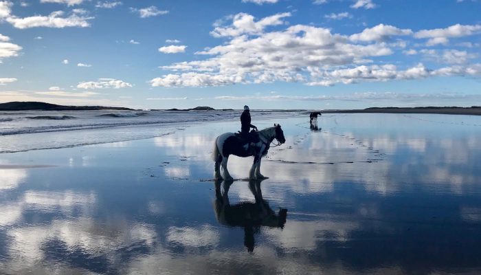 Hunt’s Photo Walk: Photography Gypsy Horses • Popham Beach, Maine